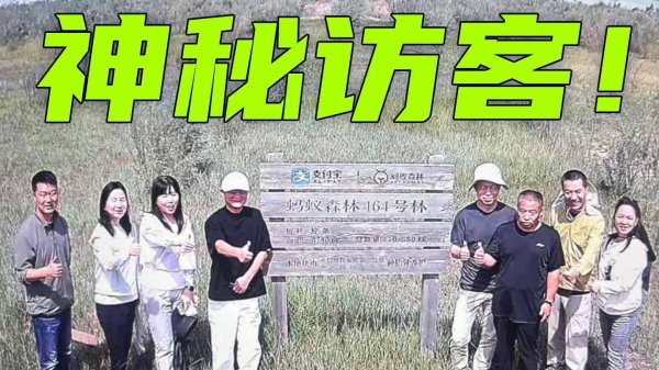 股策略 马云时隔六年再次探访蚂蚁森林，和树比高