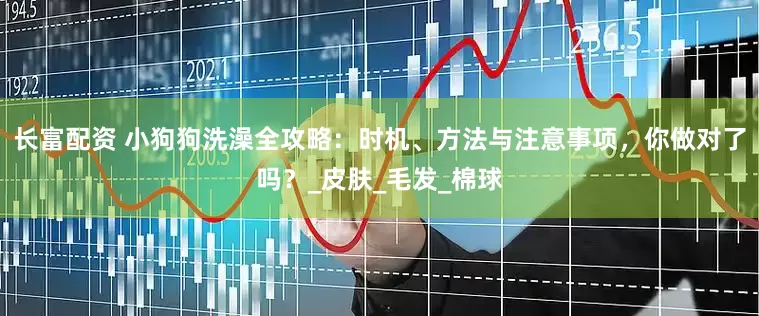 长富配资 小狗狗洗澡全攻略：时机、方法与注意事项，你做对了吗？_皮肤_毛发_棉球
