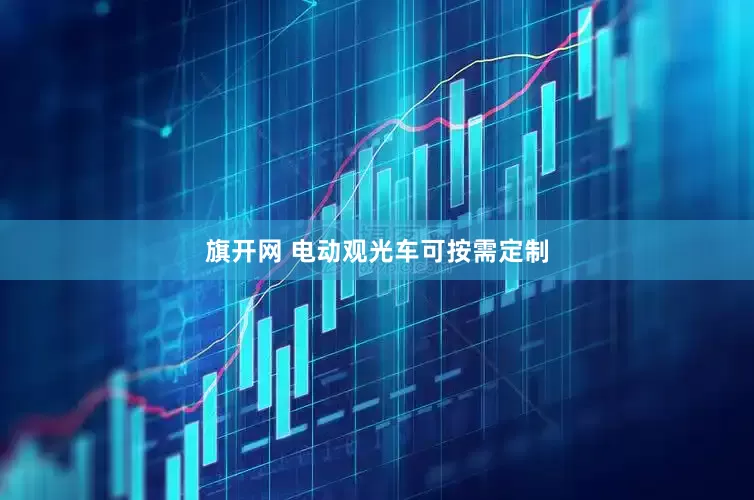 旗开网 电动观光车可按需定制