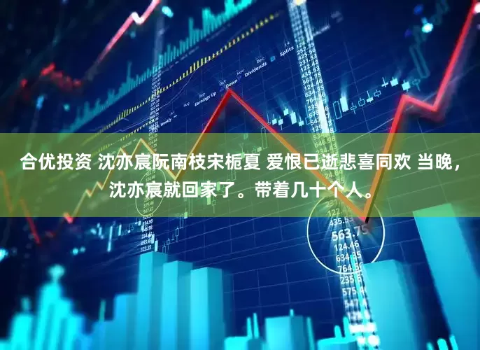 合优投资 沈亦宸阮南枝宋栀夏 爱恨已逝悲喜同欢 当晚，沈亦宸就回家了。带着几十个人。