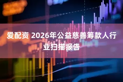 爱配资 2026年公益慈善筹款人行业扫描报告
